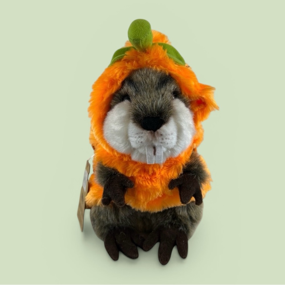 Pumpkin Halloween Costume for Small Dog Fuzzy Orange Hoodie